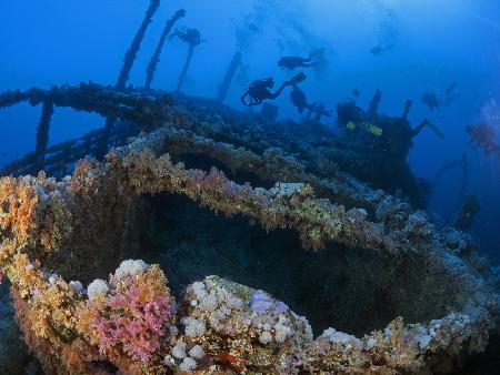 Wreck of the Numidia