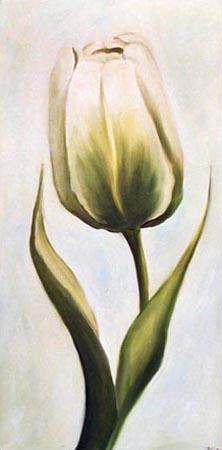 Tulipán blanco 2 2001