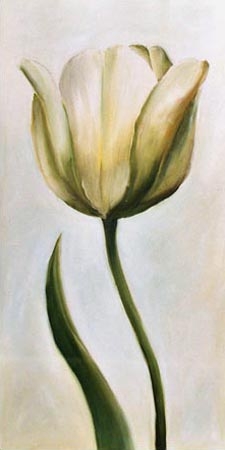 Tulipán blanco 1 de Ingeborg Kuhn