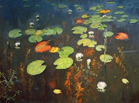 Water Lilies