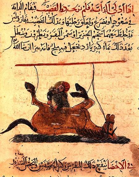 Operation on a horse, illustration from the 'Book of Farriery' by Ahmed ibn al-Husayn ibn al-Ahnaf de Islamic School