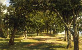 I.I.Shishkin, Wood Glade, 1889 1889