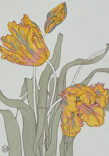 Tulip by J. Foord (fl.1890) plate 16 from 'Decorative Flower Studies' pub. 1901 de J. Foord