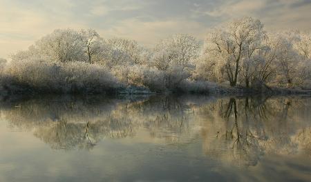 Another winter day