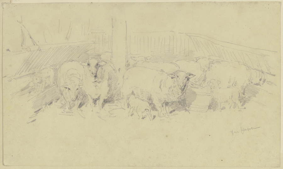 A sheepfold de Jacob Happ
