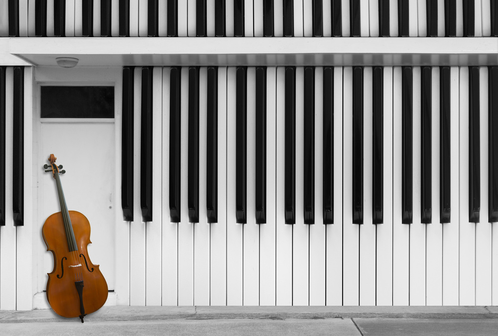 Cello at the Door de Jacqueline Hammer