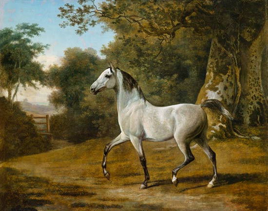 Grey Arabian stallion in a woodland landscape de Jacques-Laurent Agasse