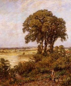 Landscape in Sussex