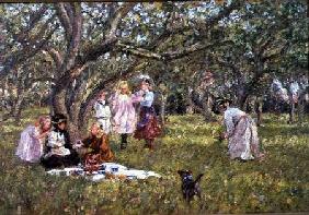 The Picnic