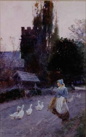 The Goose Girl