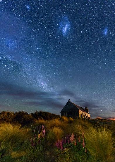 Lupins Milkway of Lake Tekapo