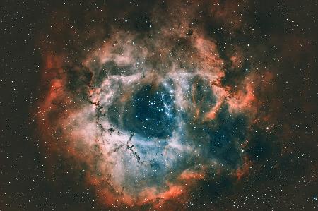 Rosette Nebula