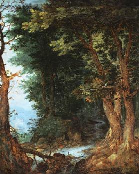 Woodland landscape