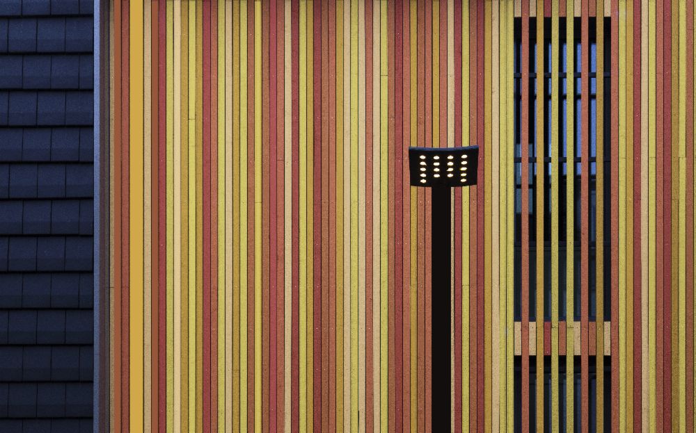 Lines and Colors de Jan Niezen