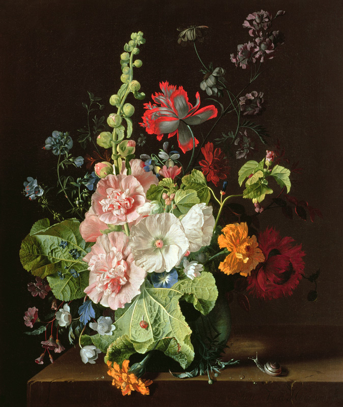 Hollyhocks and Other Flowers in a Vase de Jan van Huysum