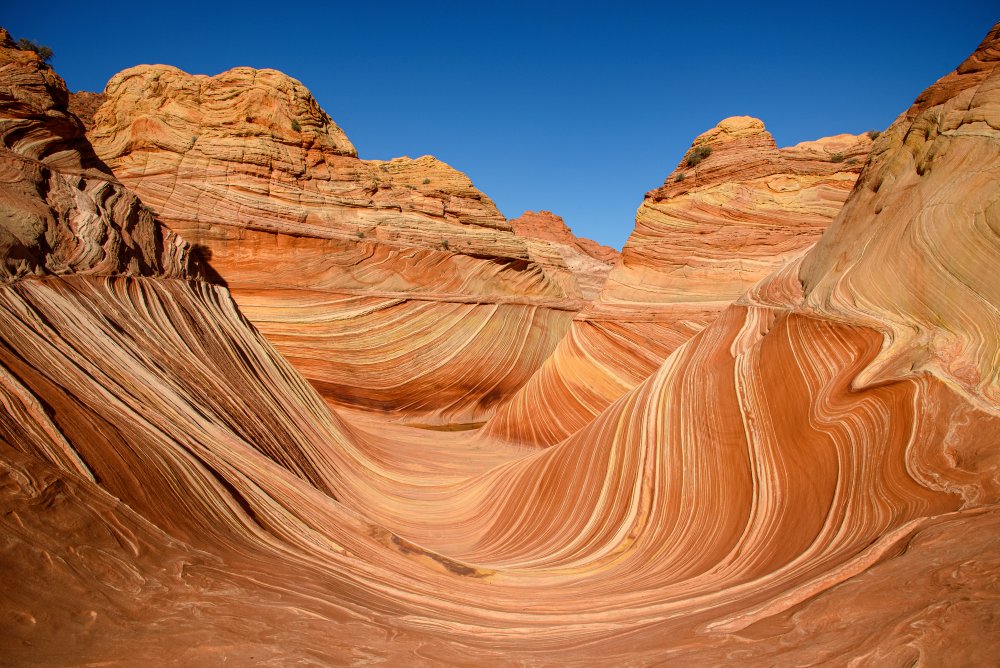 The Wave - Coyote Buttes North de Janez Šmitek