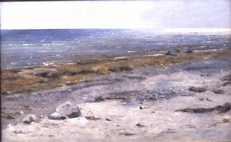 The Beach, Mols de Janus la Cour