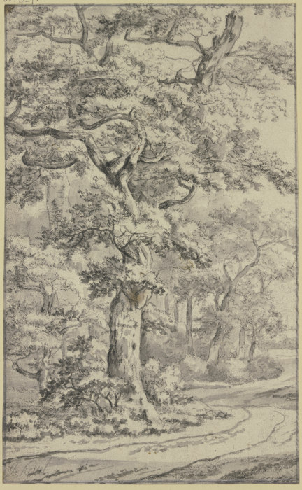 Path next to oak trees de Jan van Kessel