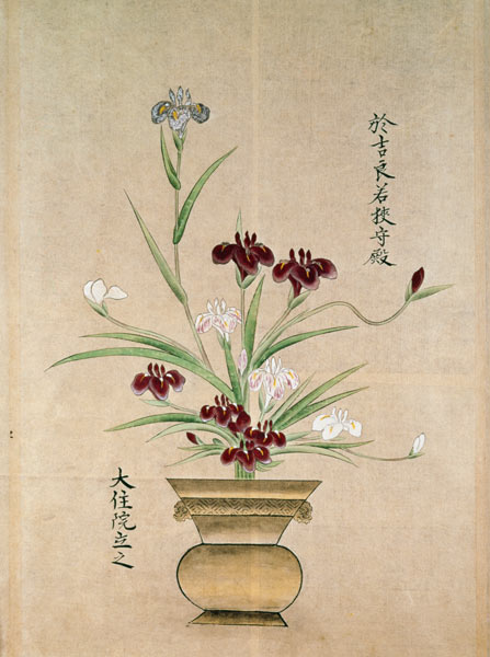 Orquídeas de Japanese School