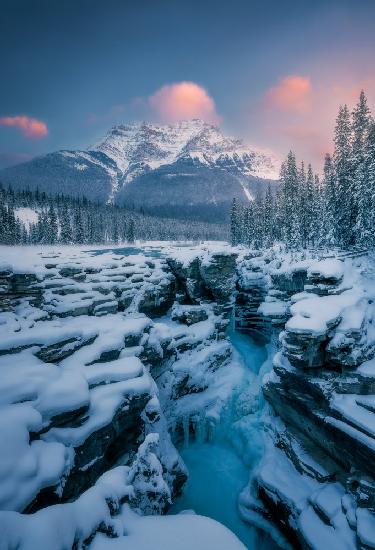 Athabasca Falls