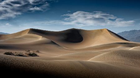 Dunes, Death Valley, CA