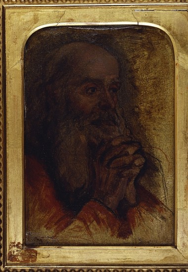 Study of an old man''s head for ''Jesus Among the Doctors'' de Dominique Ingres