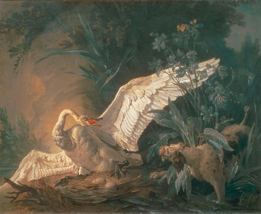 Chien barbet attaquant un cygne dans son nid de Jean Baptiste Oudry