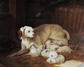 Bitch nursing puppies, detail from Lise et ses petits