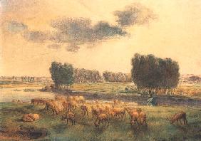 Landscape with sheep