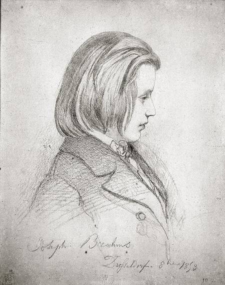 Portrait of Johanes Brahms (1833-97) aged Twenty de Jean Joseph Bonaventure Laurens