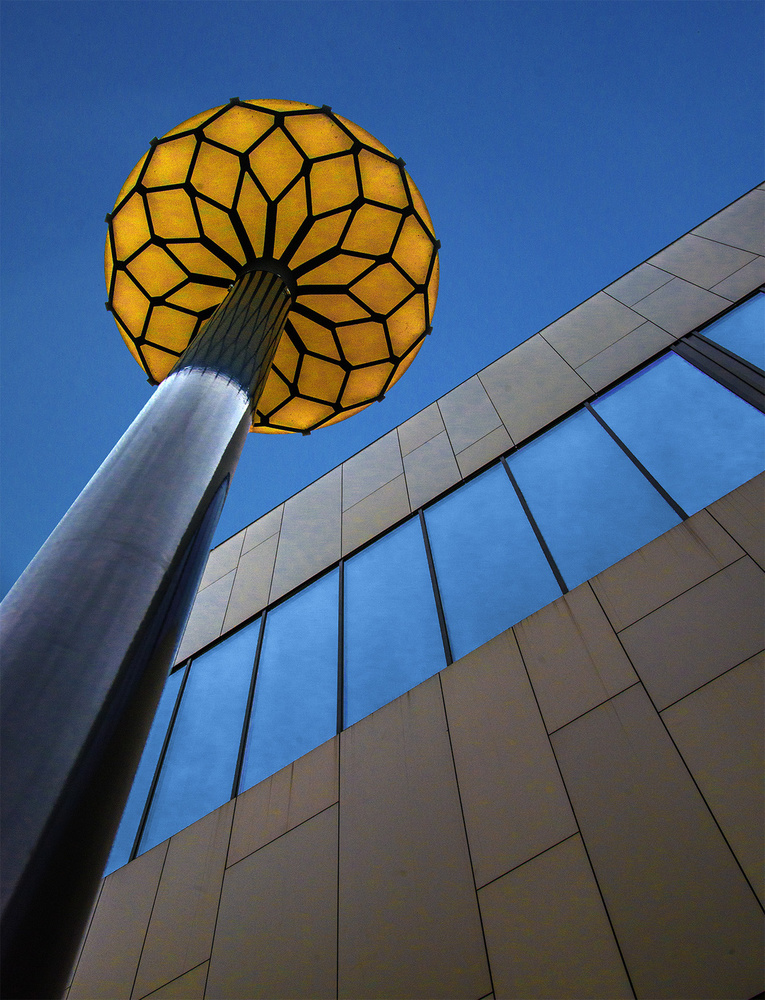 The yellow flower de Jef Van den Houte