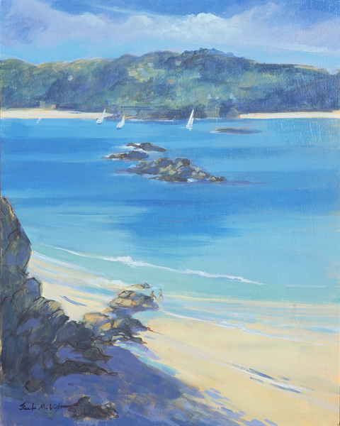 Salcombe - Fun on the Beach de Jennifer Wright