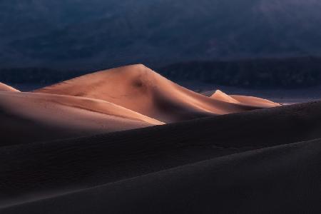 Sand Dunes at Dawn