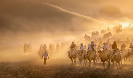 Camel Caravan