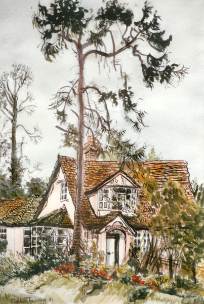 Cottage with Fir Tree de Joan  Thewsey