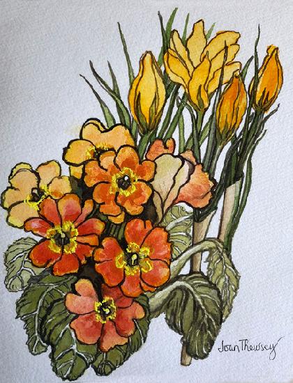 Crocus and Primroses