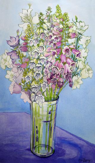 Foxgloves and Campanulas