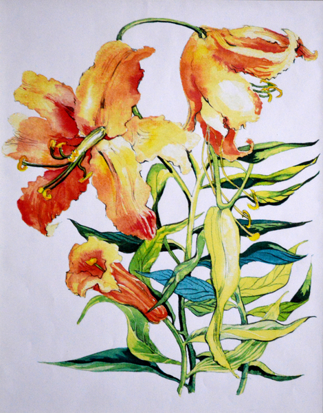 Orange Lilies 1 de Joan  Thewsey