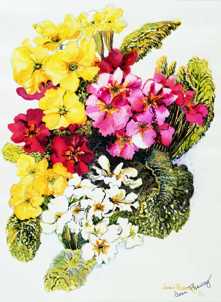 Primroses,White,Yellow,Pink and Red de Joan  Thewsey