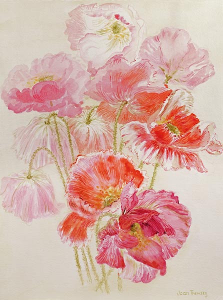 Shirley Poppies (w/c)  de Joan  Thewsey