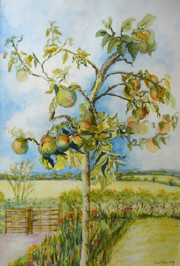 The Apple Tree