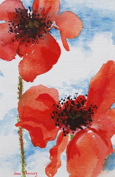 Poppies (w/c on paper) 