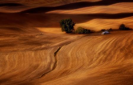 Autumn Farm