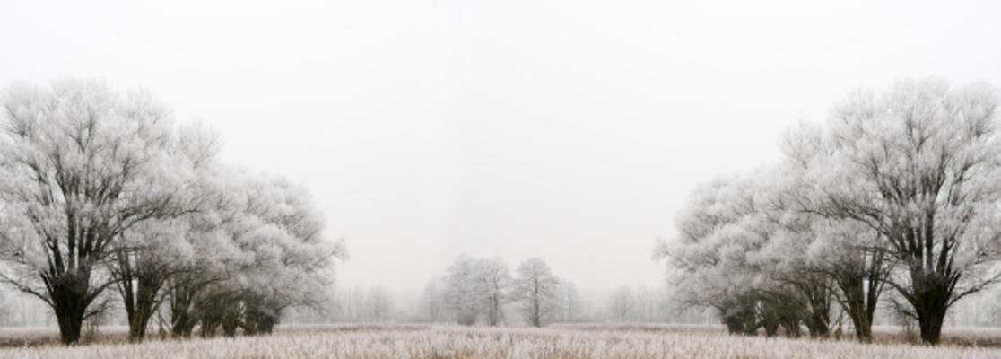 Winterlandschaft de Jörg Rüger