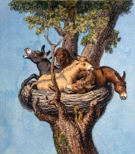 Donkey in the nest (donkey history)