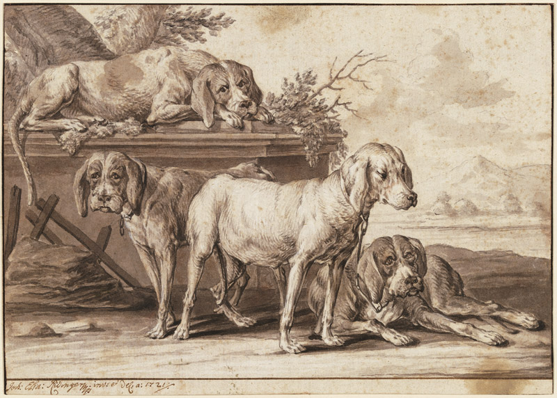 Four hunting dogs de Johann Elias Ridinger