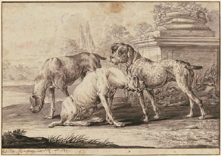 Three hunting dogs