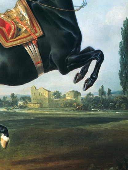 A black horse performing the Courbette (detail of 65652) de Johann Georg Hamilton