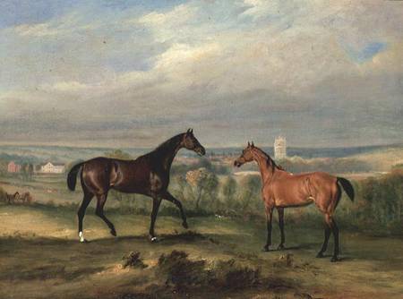 Count Bathyany's Favourite Hunters at Melton Mowbray de John E. Ferneley d.J.