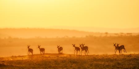 Towards Sunset